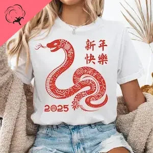 Sweat-shirt amusant pour le nouvel an chinois, haut à manches courtes, col rond, vêtements unisexes, t-shirt de festival des lanternes, salle, nouvel an lunaire