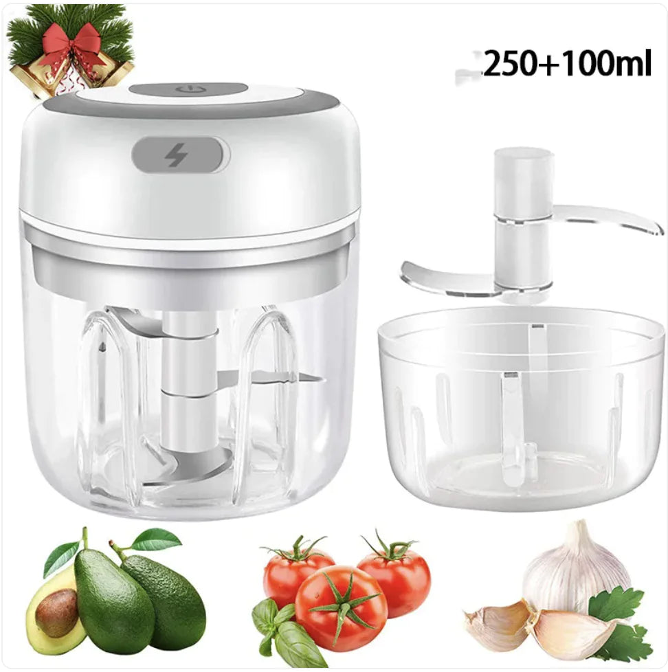 Mini Electric Garlic and Vegetable Chopper